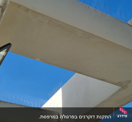דוקרנים למניעת יונים על קורות בטון